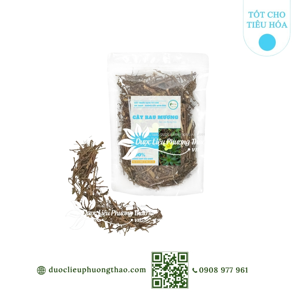 sản phẩm cây rau mương