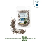 Cây dòi thân tím (cây bọ mắm, cây dòi tía, đại kích biển)