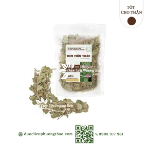 Kim tiền thảo (cây vẩy rồng, cây mắt trâu)