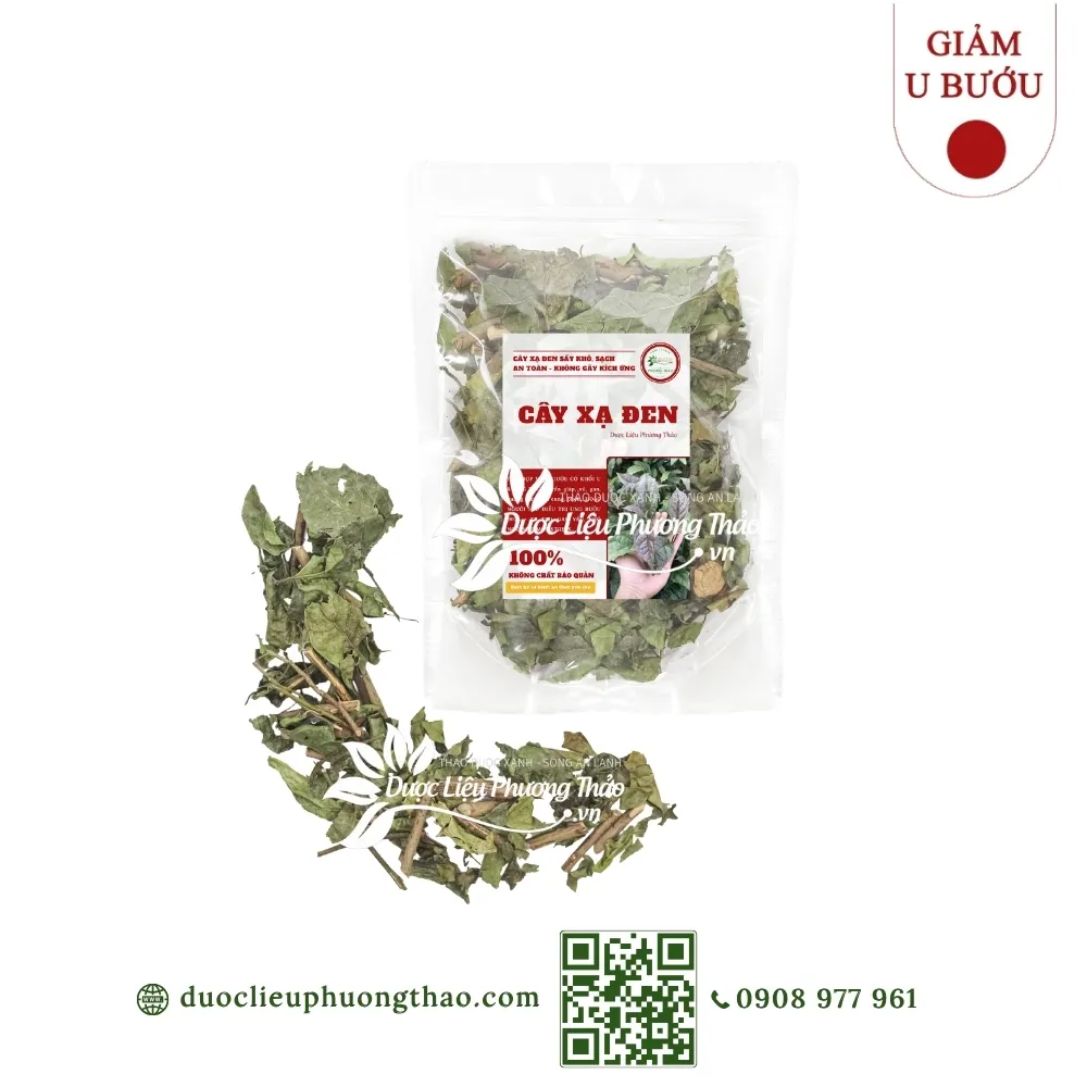 cây xạ đen