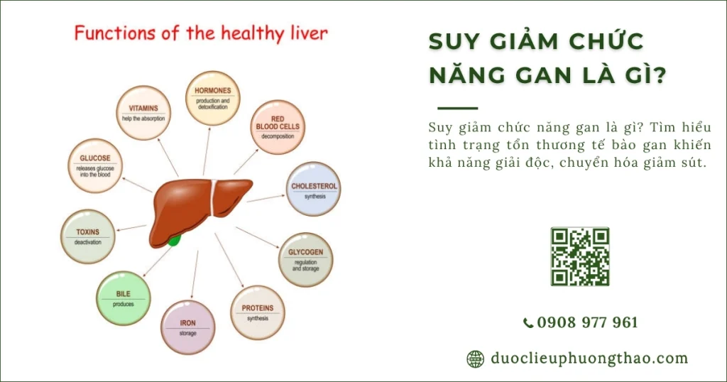 Suy giảm chức năng gan là gì? Có những nguyên nhân, dấu hiệu và cách chăm sóc nào?