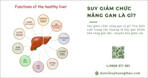 Suy giảm chức năng gan là gì? Có những nguyên nhân, dấu hiệu và cách chăm sóc nào?