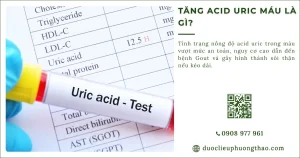 Tăng axit uric máu là gì? Nguyên nhân, nguy cơ và cách kiểm soát hiệu quả