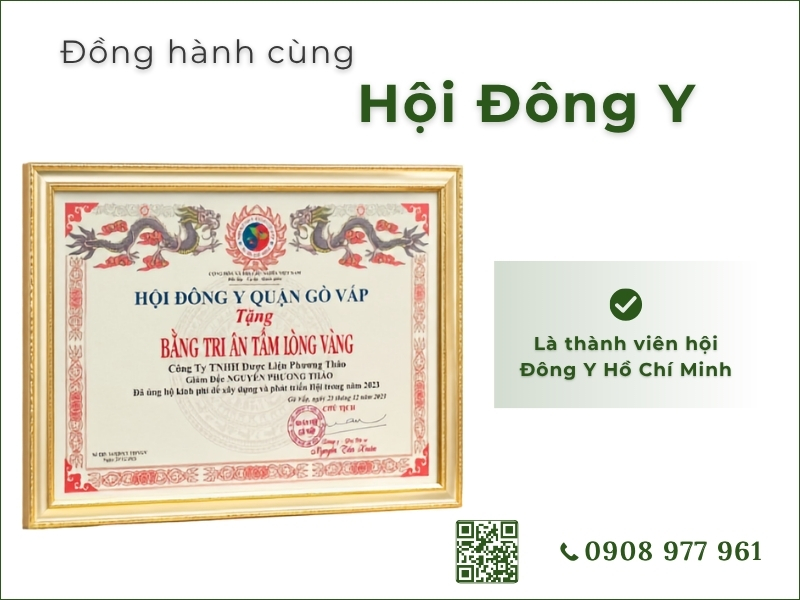 Nấm lim xanh nguyên cây (Nấm trường thọ, nấm vạn tiên nhung) thành viên của Hội Đông Y