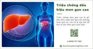 Triệu chứng men gan cao: Dấu hiệu nhận biết và khi nào cần đi khám?