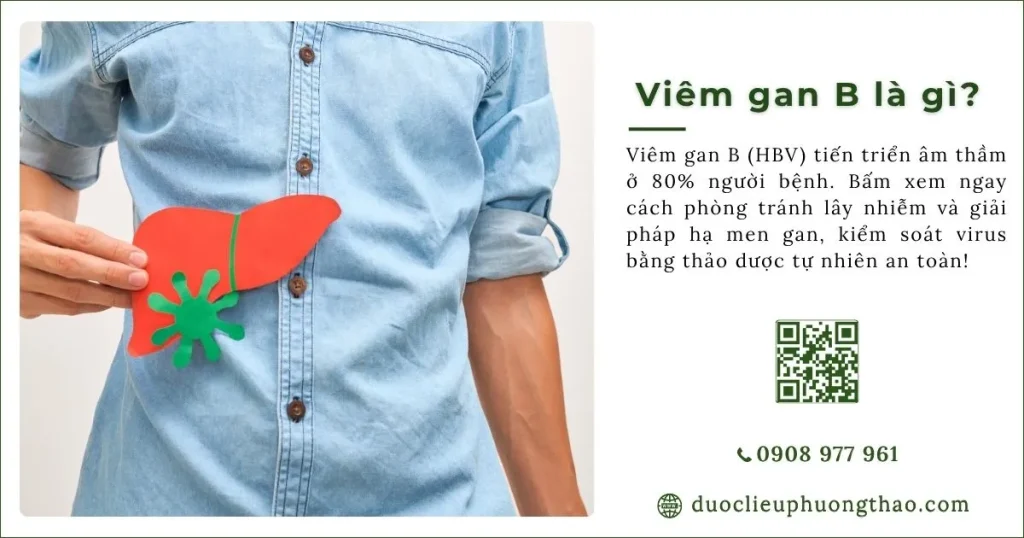 Viêm gan B là gì? Có những dấu hiệu, nguyên nhân và cách phòng tránh nào?