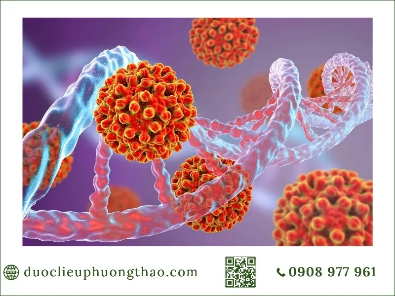 Triệu chứng viêm gan B viêm gan b