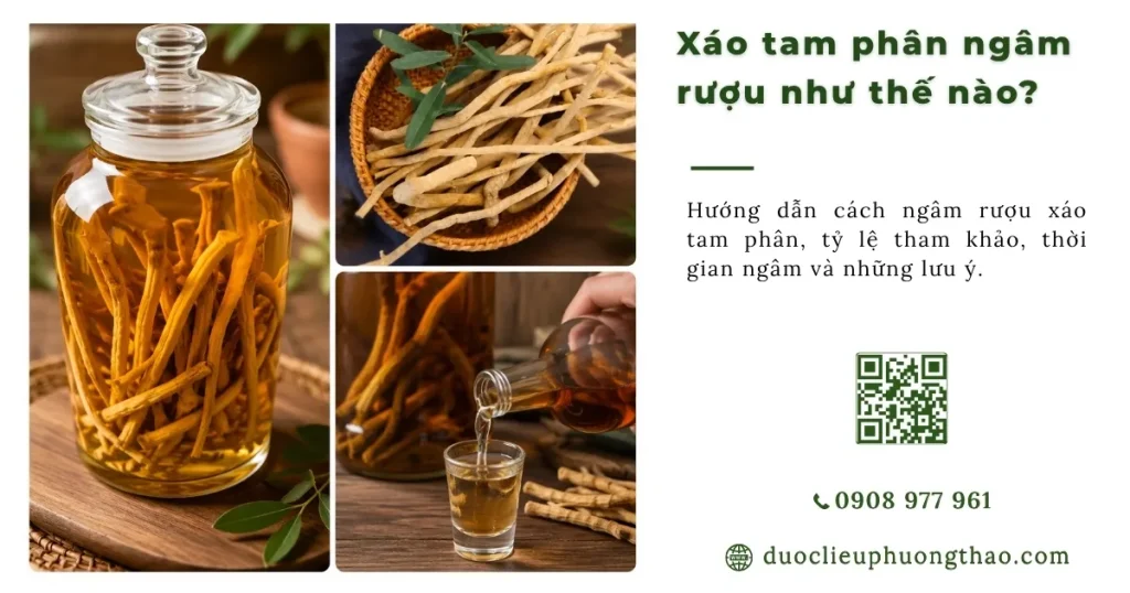Xáo Tam Phân ngâm rượu như thế nào? Cách ngâm đúng và lưu ý