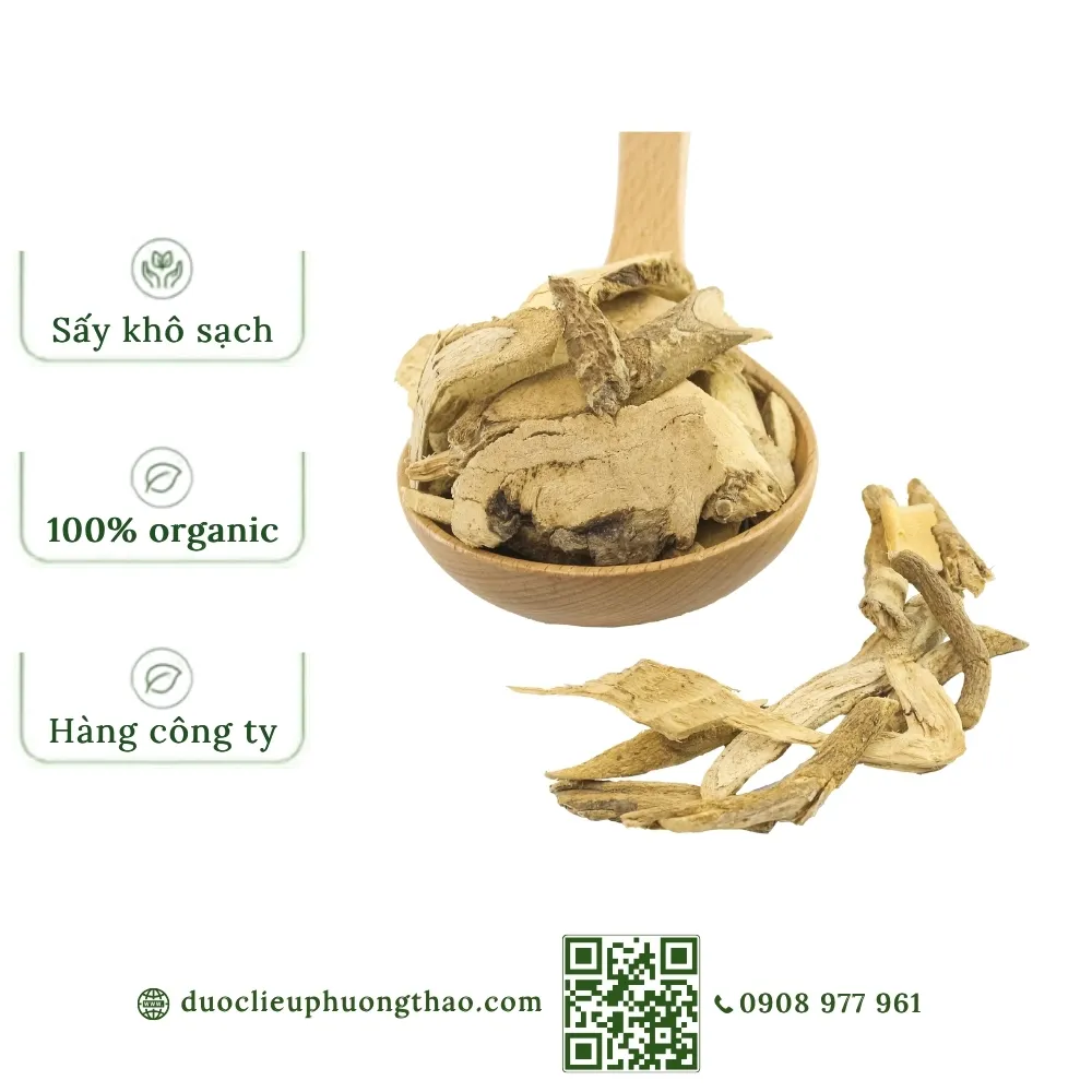 Xáo tam phân nguyên rễ (Thần xạ, Rễ mọi, Tuyết thông)