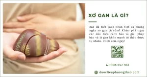 Xơ gan là gì? Có những nguyên nhân, triệu chứng và cách phòng tránh nào?
