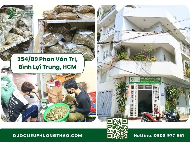 Bán cây an xoa khô ở đâu sạch, chính gốc và giá tốt nhất? Địa chỉ và thông tin liên hệ mua bán cây an xoa khô uy tín