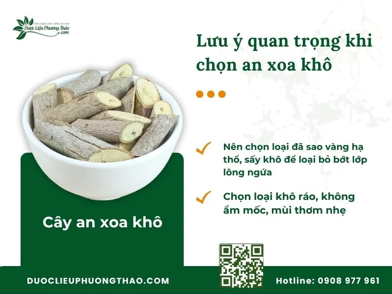 Các tiêu chí cần biết để chọn mua đúng loại cây an xoa khô sạch và an toàn