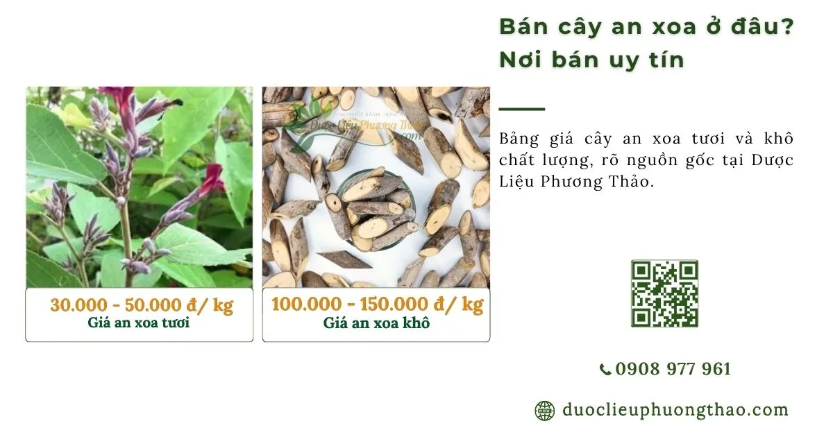 Bán cây an xoa ở đâu uy tín