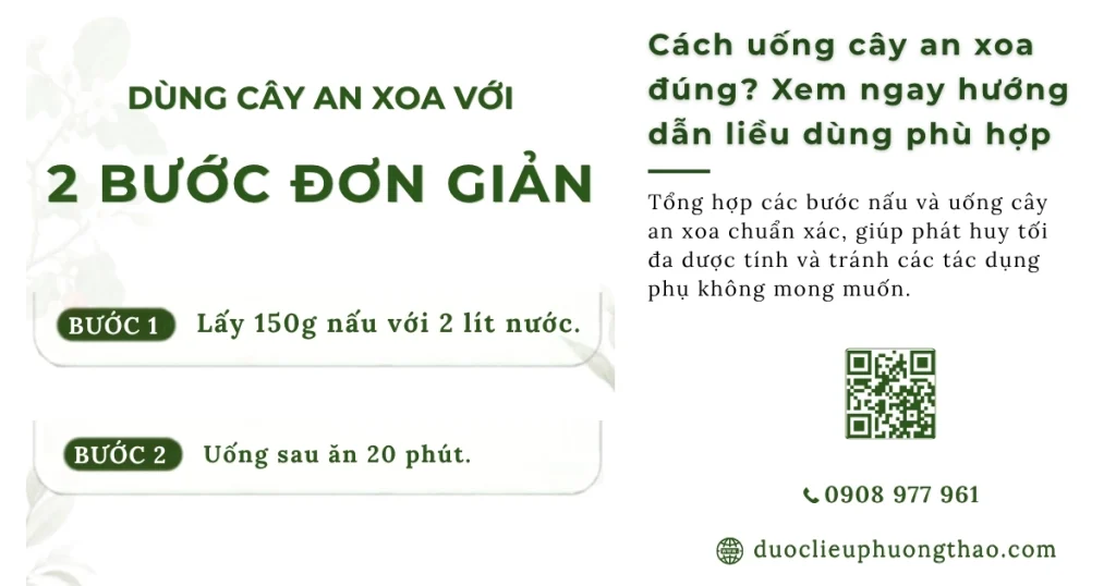 Cách uống cây an xoa đúng cách: Hướng dẫn sắc nước chi tiết tại nhà