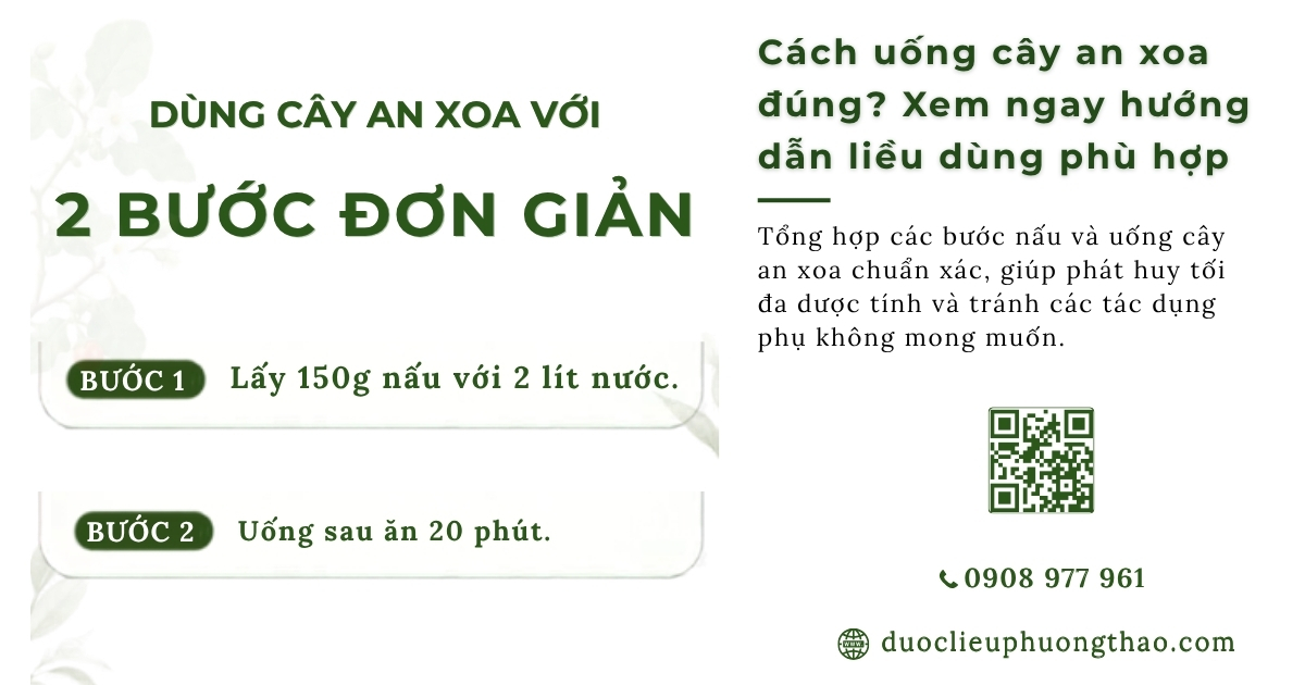 cách uống cây an xoa