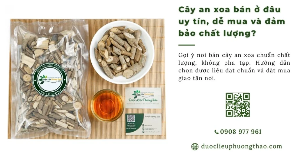 Cây an xoa bán ở đâu uy tín, dễ mua và đảm bảo chất lượng?