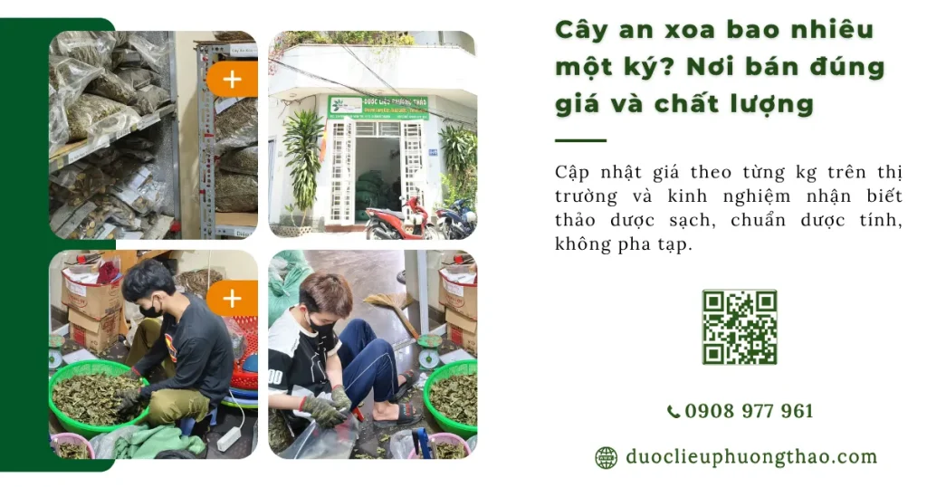 Cây an xoa bao nhiêu một ký? Giá bán và cách mua hợp lý