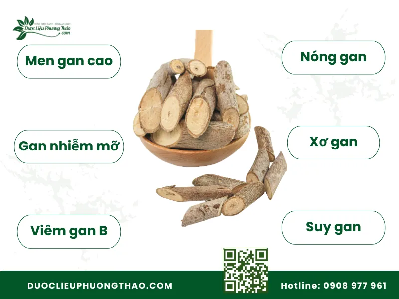 cây an xoa chữa bệnh gì
