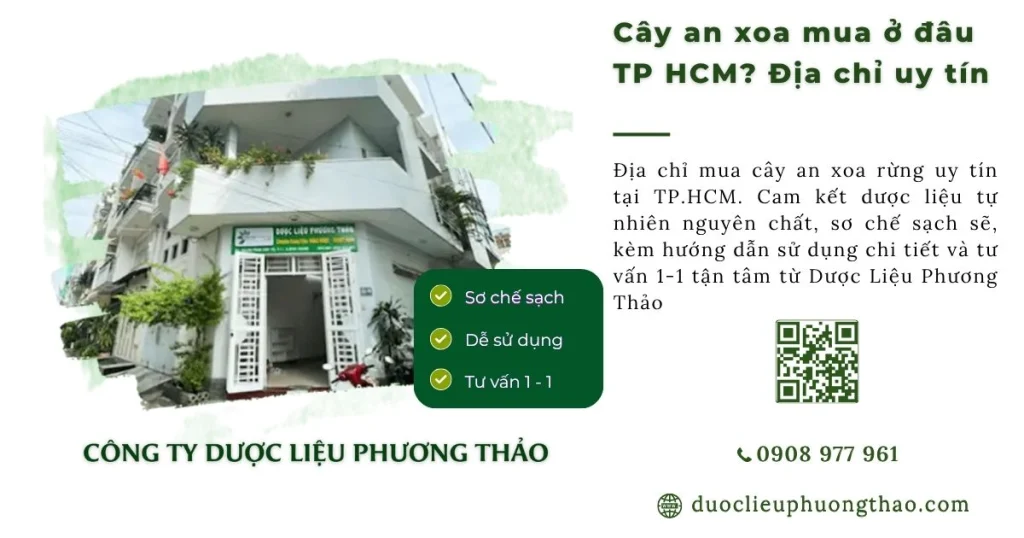 Cây an xoa mua ở đâu TP.HCM? Top địa chỉ mua uy tín và kinh nghiệm chọn mua hàng chuẩn?