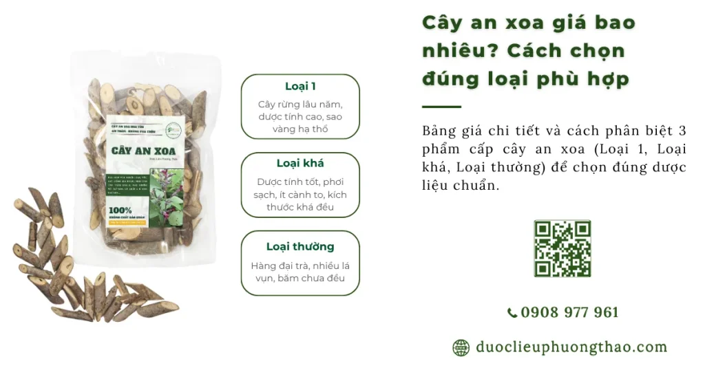 Cây an xoa giá bao nhiêu? Giá tươi, khô và cách chọn mức giá hợp lý