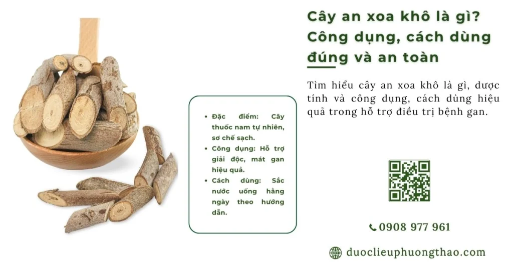 Cây an xoa khô là gì? Cách nhận biết, công dụng và cách dùng