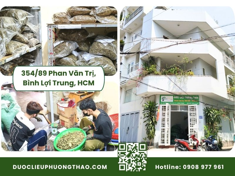 Cây an xoa mua ở đâu uy tín, chuẩn dược tính thảo dược tự nhiên? Kho dược liệu và nơi bán cây an xoa tại TP. Hồ Chí Minh