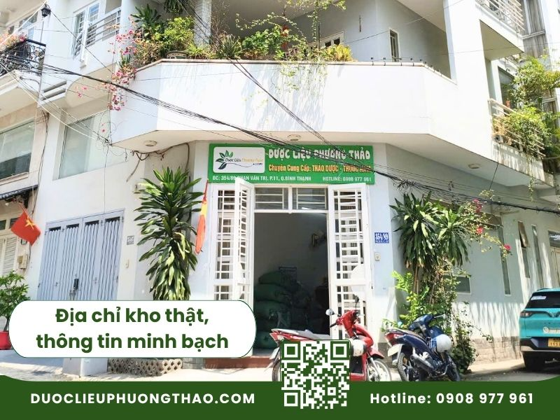 cây an xoa bán ở đâu