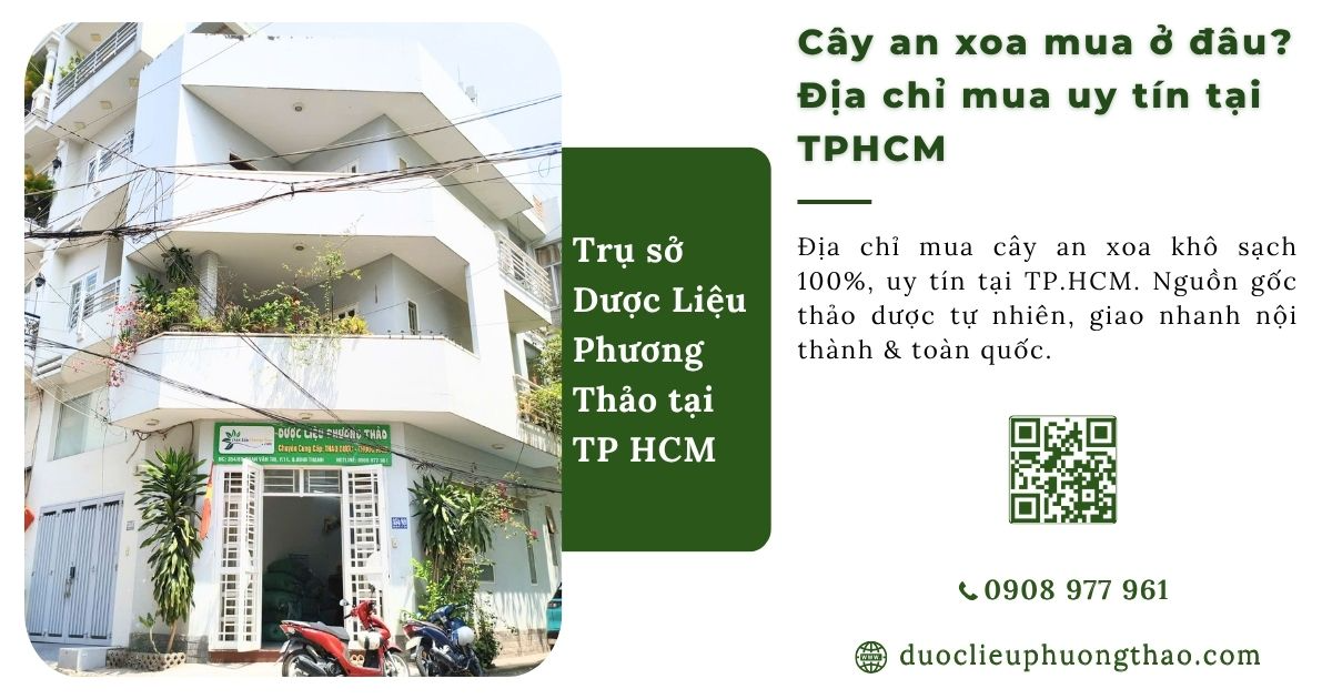 cây an xoa mua ở đâu
