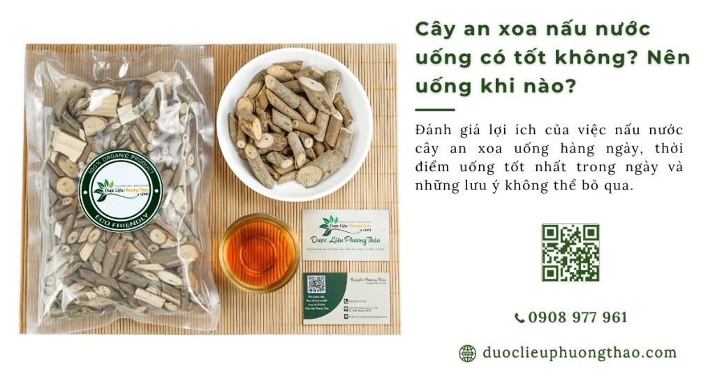 Cây an xoa nấu nước uống có tốt không? 5 lợi ích bất ngờ đối với lá gan