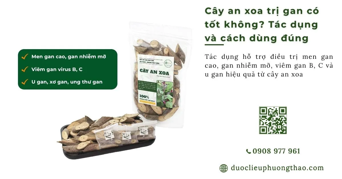 cây an xoa trị gan