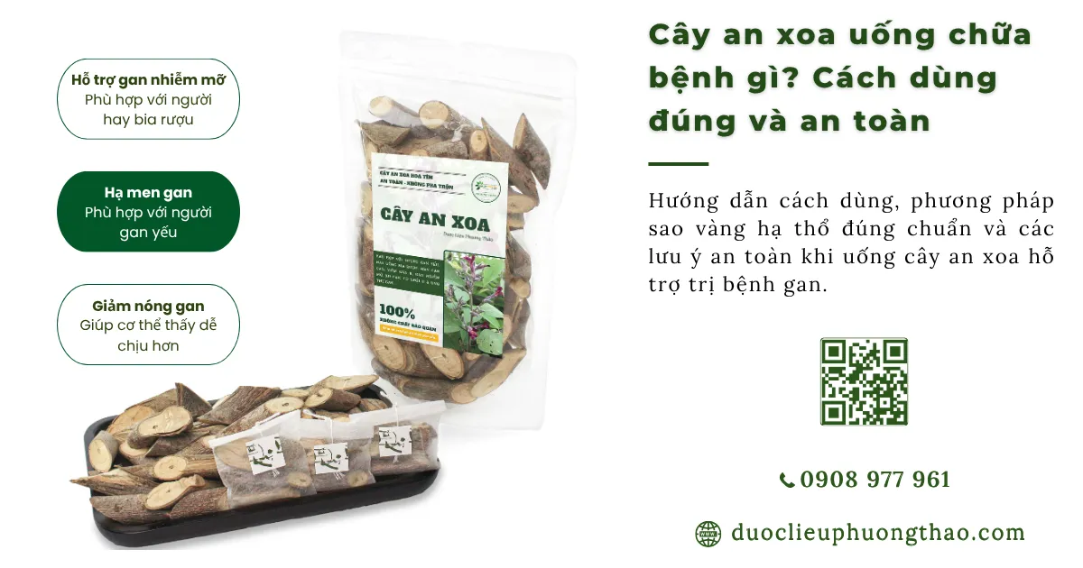 cây an xoa uống chữa bệnh gì