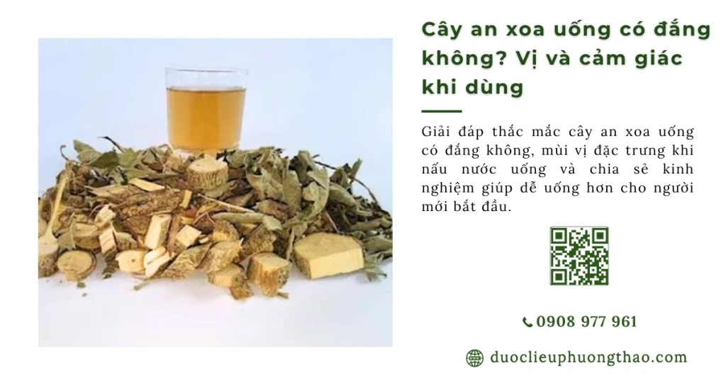 Cây an xoa uống có đắng không? Vị thực tế và 3 cách uống dễ hơn