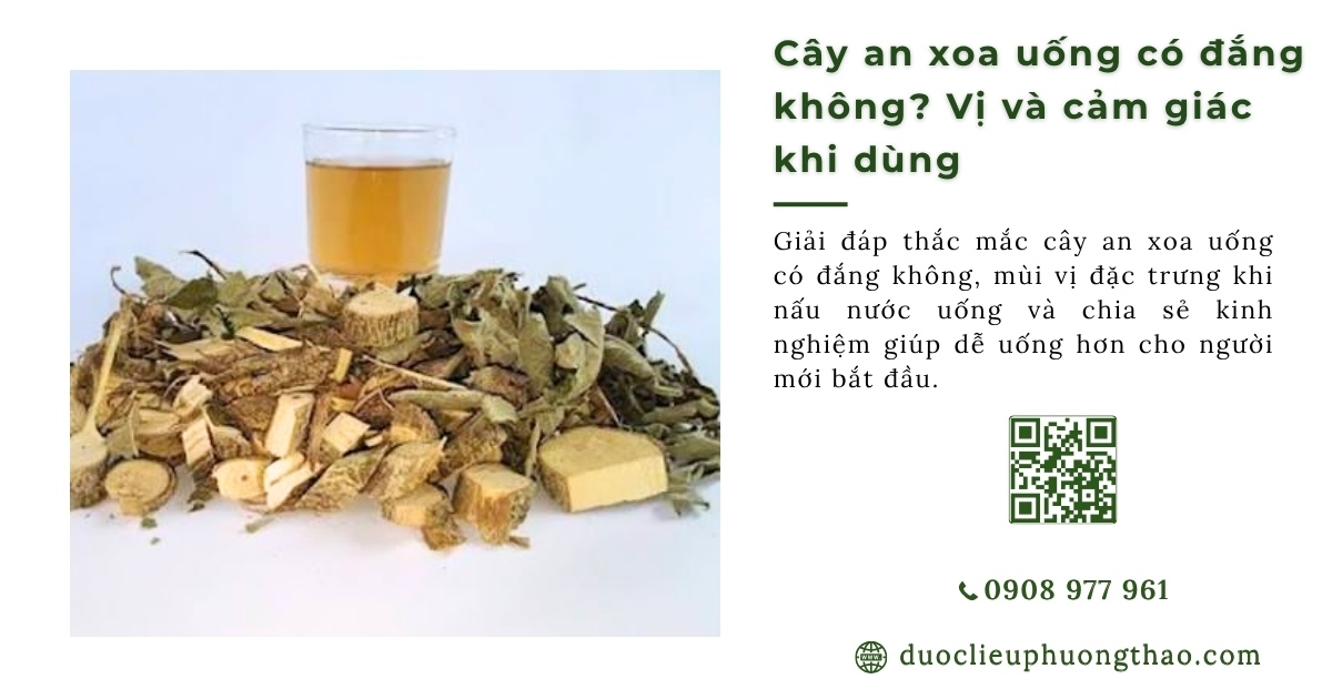 cây an xoa uống có đắng không