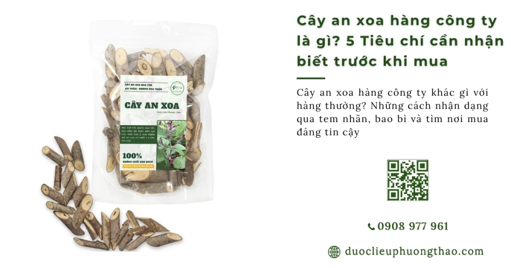 Cây an xoa hàng công ty là gì? 5 Tiêu chí nhận biết trước khi mua