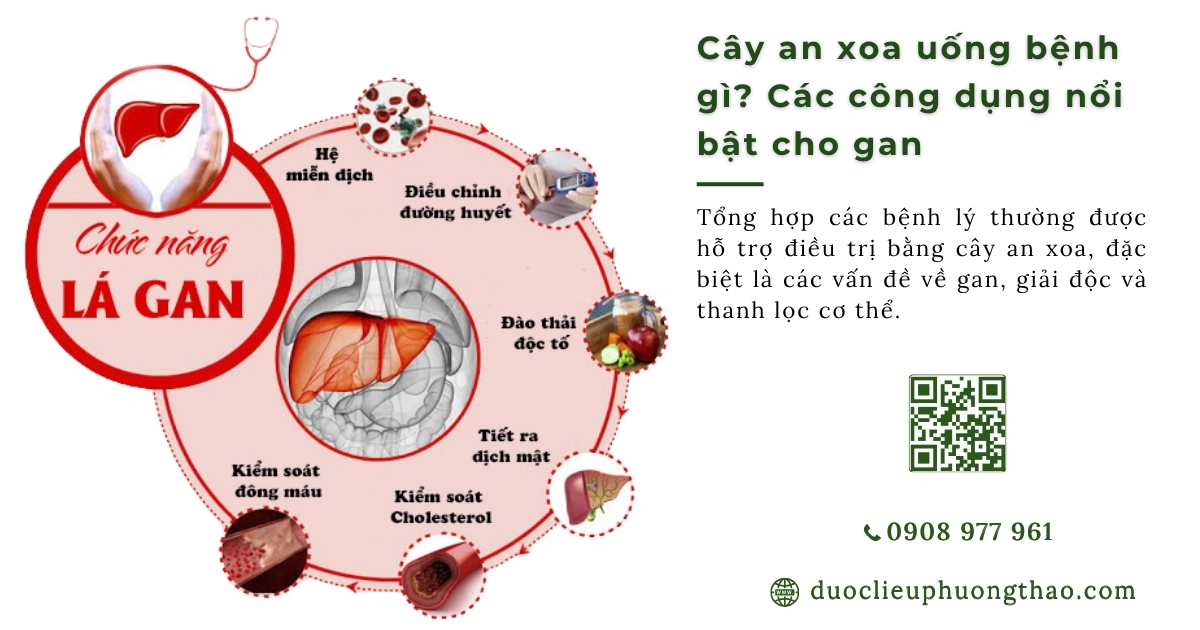 Cây an xoa uống bệnh gì