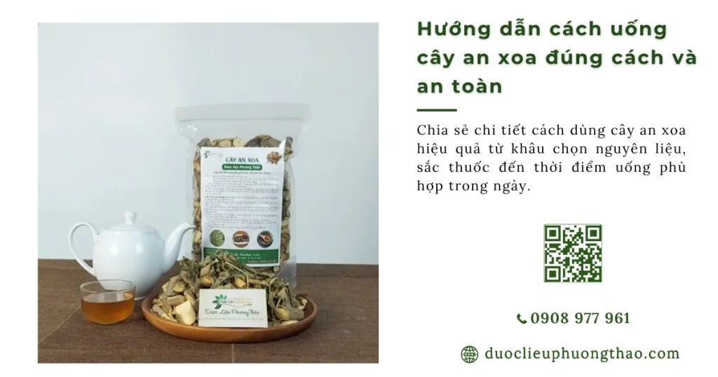 Cây an xoa uống như thế nào để đạt hiệu quả cao nhất?