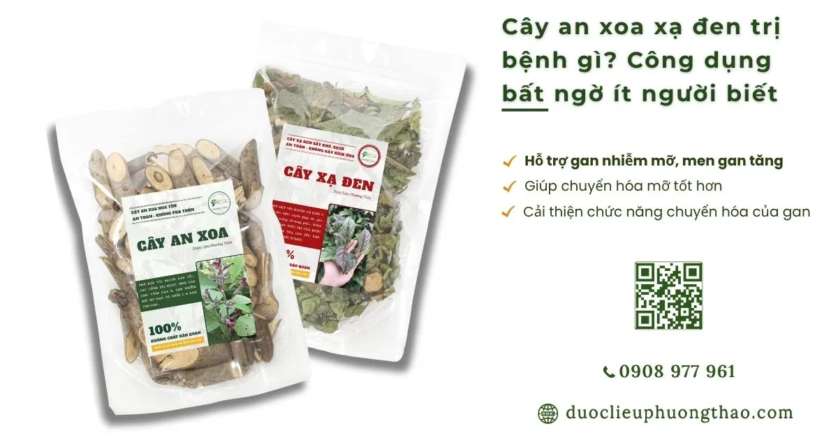 cây an xoa xạ đen trị bệnh gì