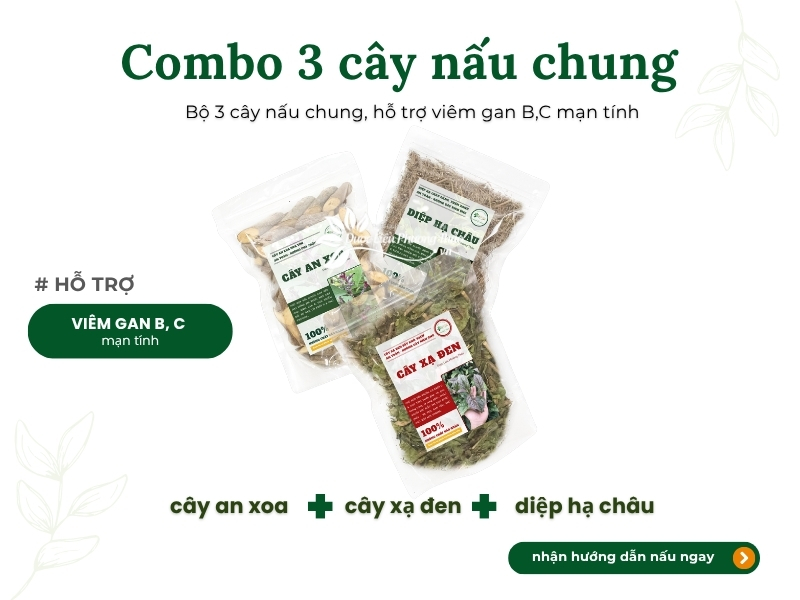Cây an xoa (tổ kén cái, dó lông, thâu kén lông) Combo 3 cây nấu chung hỗ trợ viêm gan B, C mạn tính