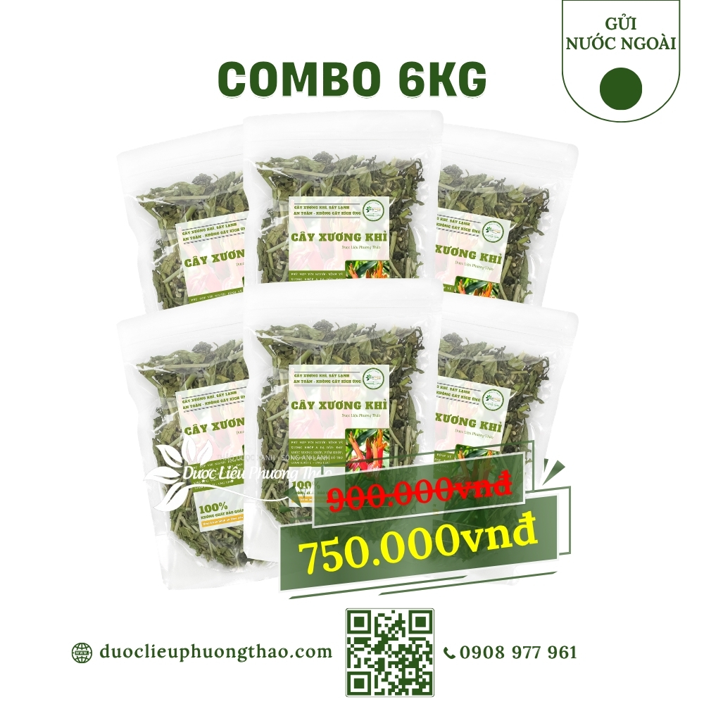combo cây xương khỉ