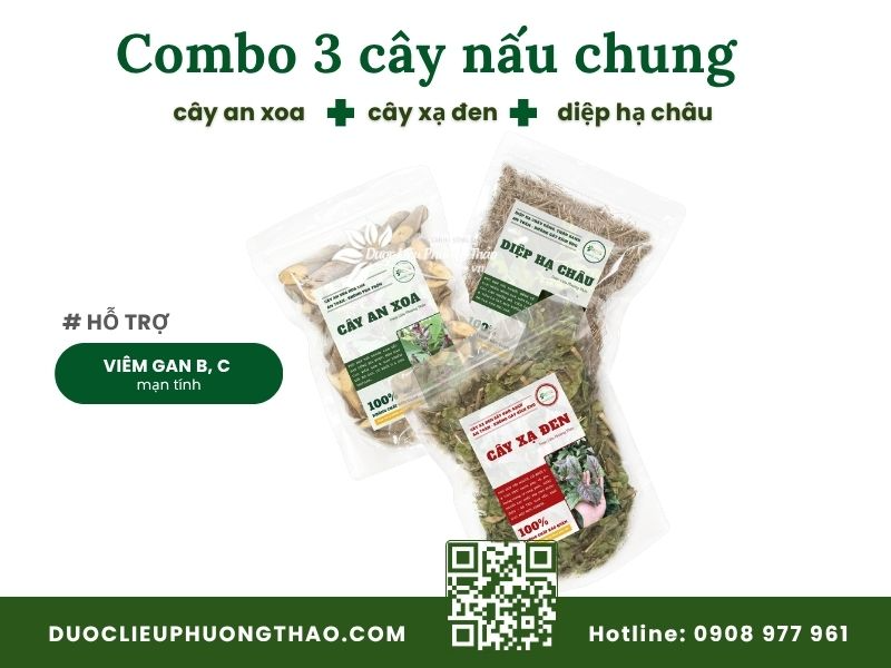 Cây an xoa trị được bệnh gì? Công dụng thực tế và cách dùng hiệu quả Bộ 3 cây an xoa, xạ đen, diệp hạ châu hỗ trợ gan