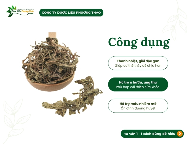 Bồ công anh sấy khô hỗ trợ thanh nhiệt, giải độc gan