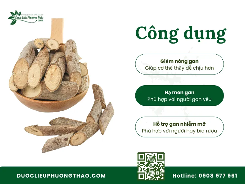 Công dụng của cây an xoa khô hỗ trợ chăm sóc gan