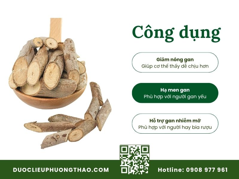 Cây an xoa trị được bệnh gì? Công dụng thực tế và cách dùng hiệu quả cây an xoa trị được bệnh gì? tác dụng đối với các bệnh gan