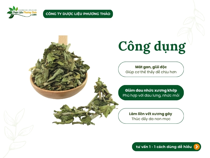 Công dụng cây xương khỉ hỗ trợ xương khớp