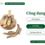 Cây an xoa (tổ kén cái, dó lông, thâu kén lông)