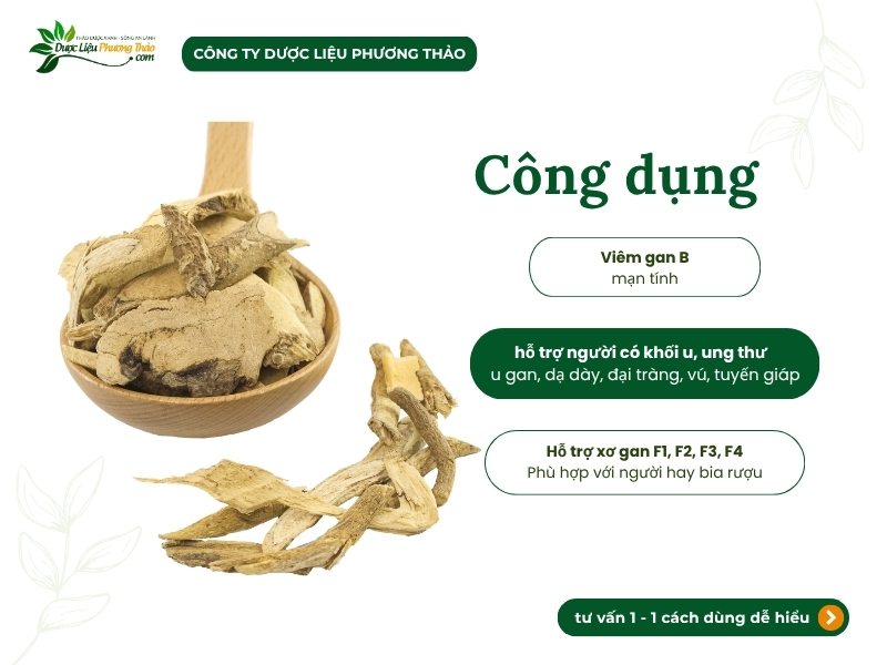 Xáo tam phân xắt lát (Thần xạ, Rễ mọi, Tuyết thông) Xáo tam phân xắt lát hỗ trợ chăm sóc u bướu, gan và phục hồi thể trạng hiệu quả.