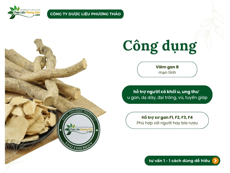 Rễ xáo tam phân khô chất lượng hỗ trợ u bướu.
