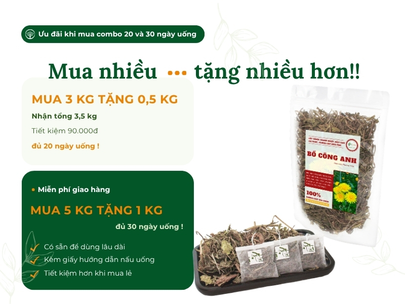 Mua combo bồ công anh khô nhận ưu đãi lớn