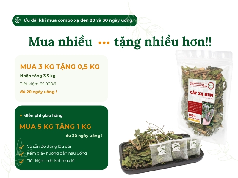 Chương trình ưu đãi mua combo cây xạ đen tích lũy tiết kiệm