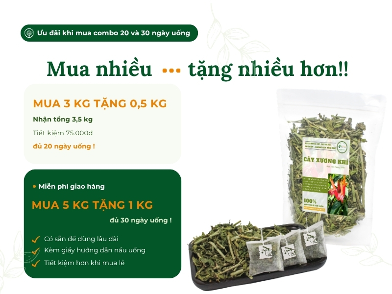 Chương trình ưu đãi mua combo cây xương khỉ